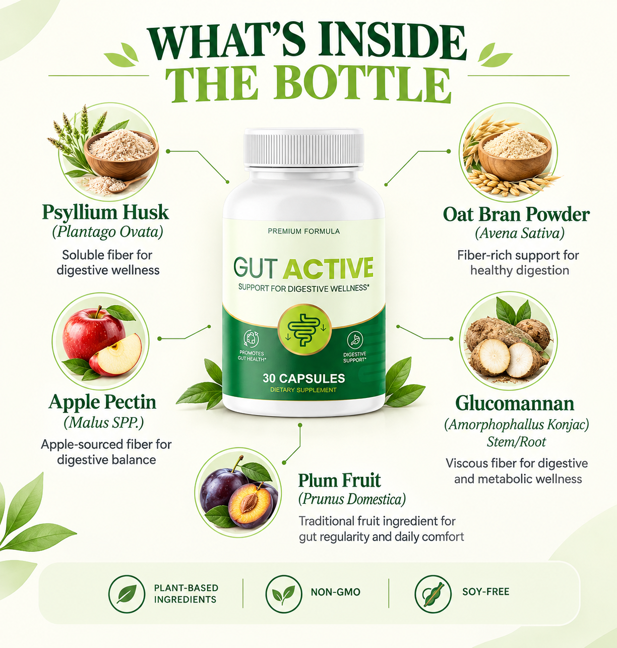 Gut Active ingredients